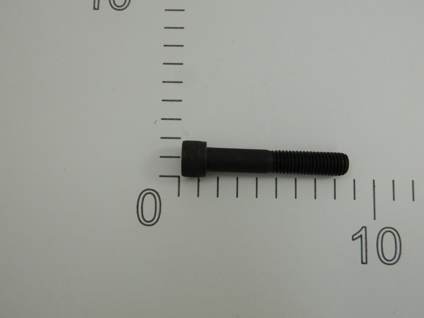 Cilinderschroef (verzinkt) M12x70-8.8