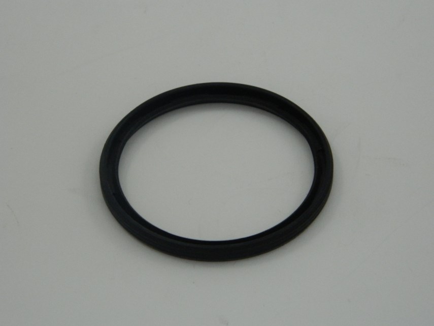 Ring (Ina) G43x53x4