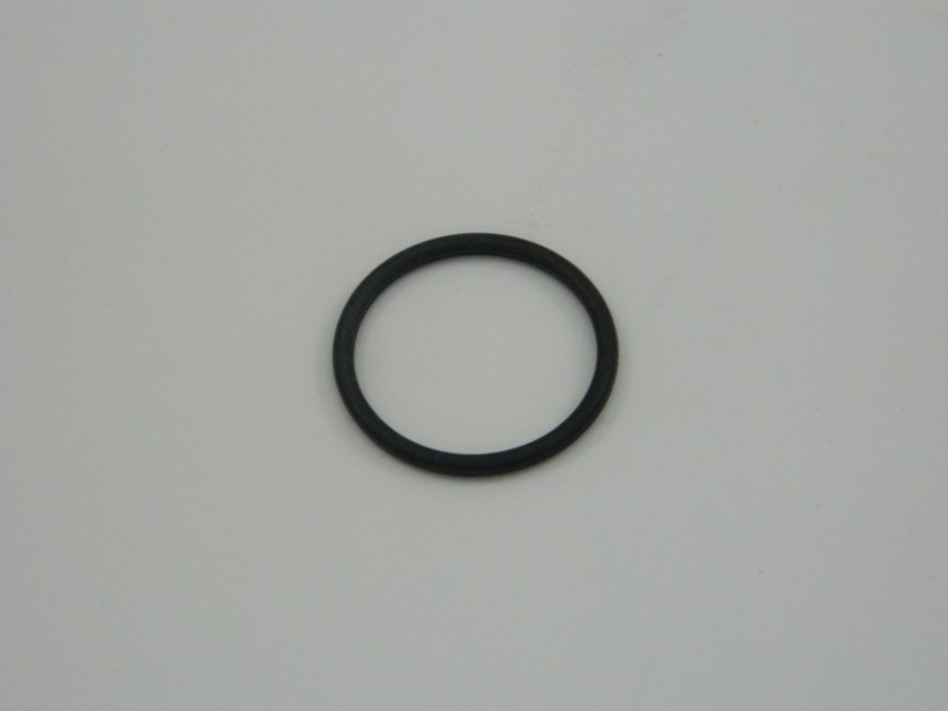 O-ring OR 2100