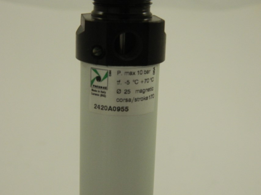 Pneumatische cilinder 25/170