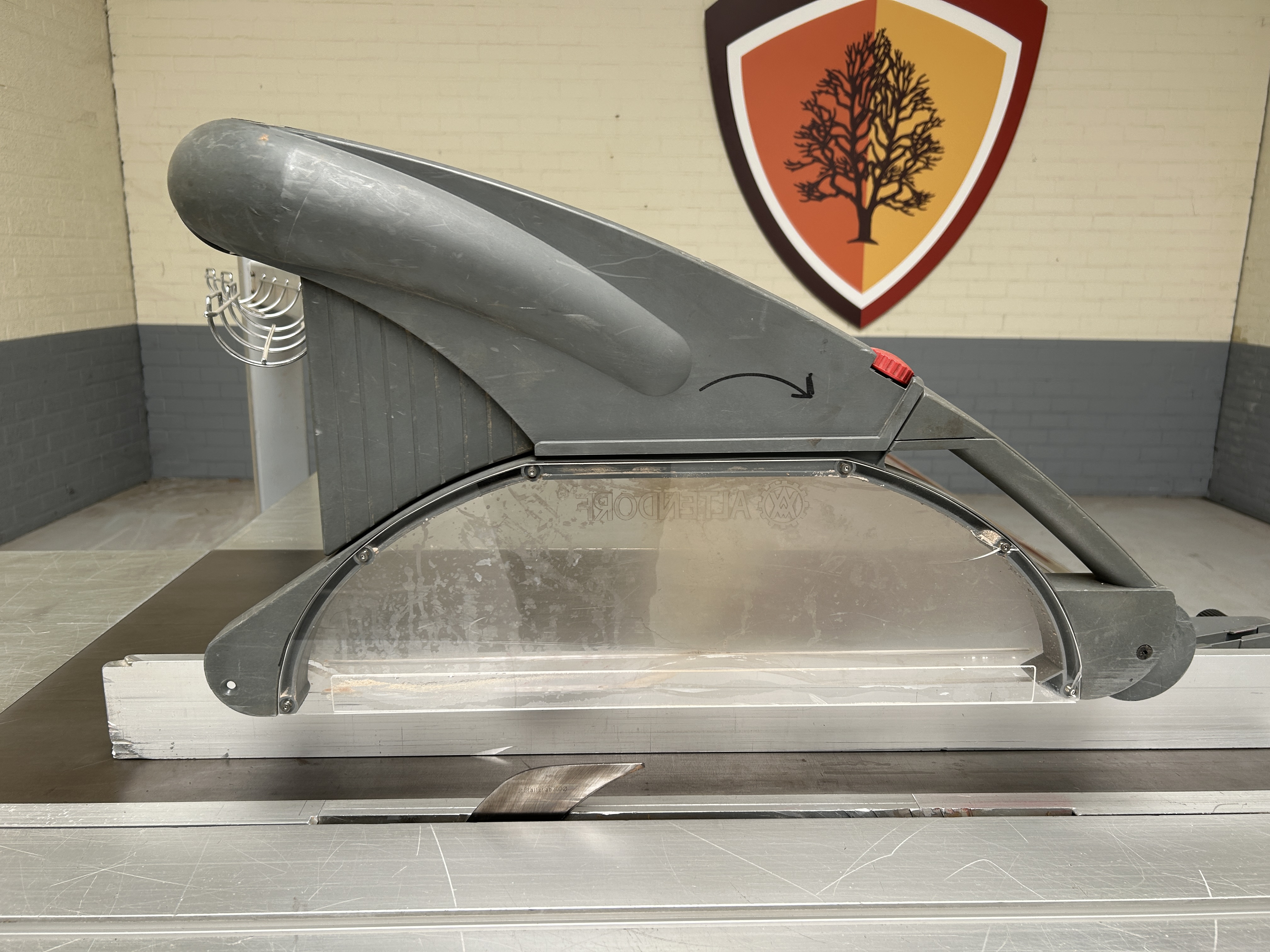 Altendorf F45 Elmo II gebruikte formaatzaag